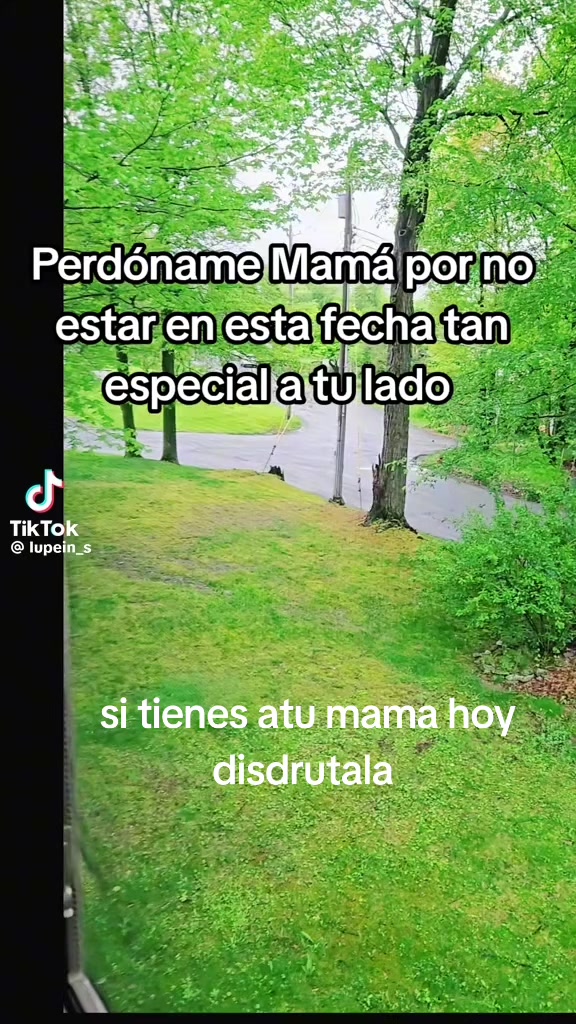 @official siltepec