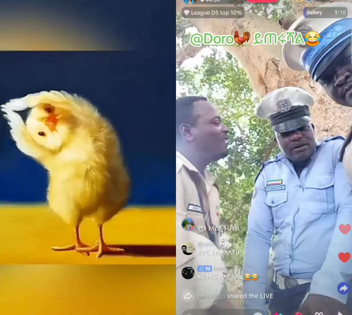 @Doro🐓