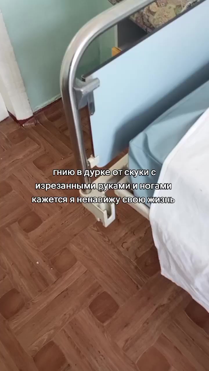 @мертвый кот