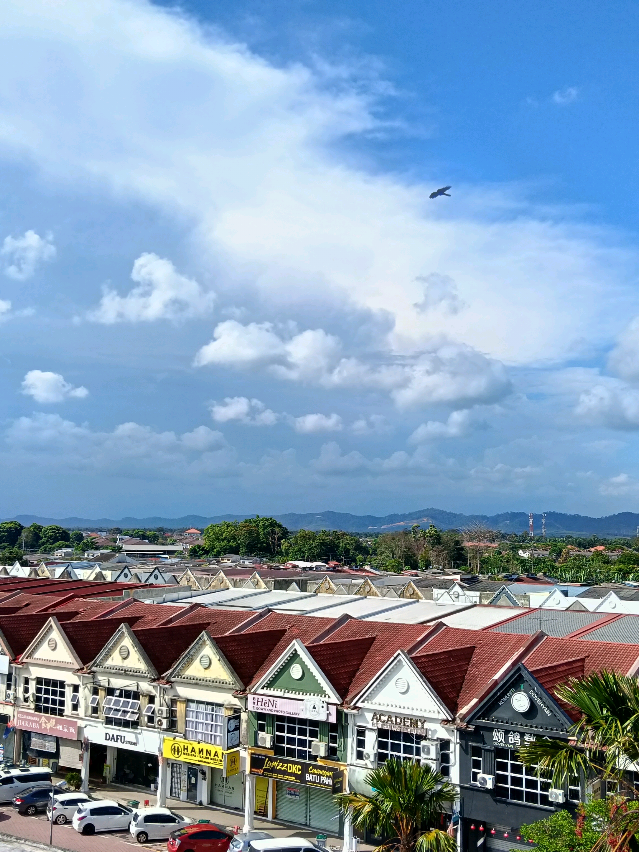 @Ckg Din