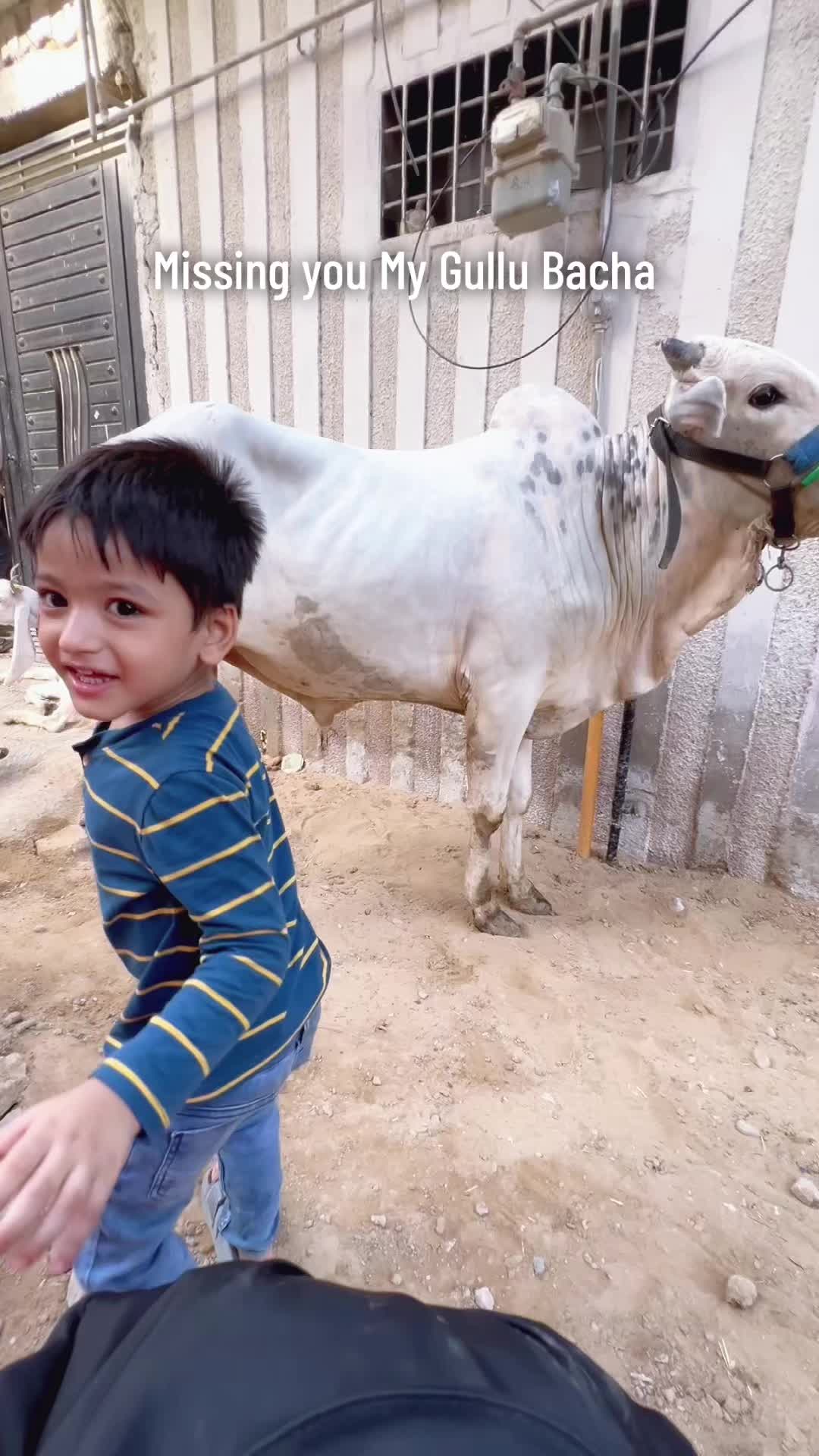 @lifewithkiran17