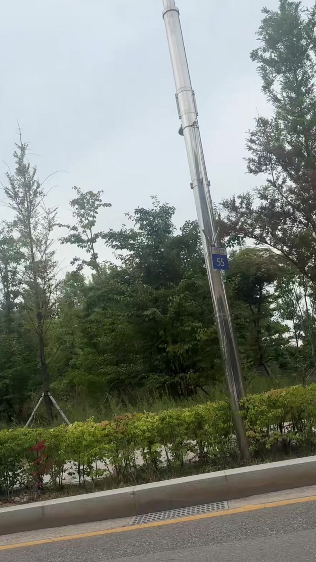@shaista in korea