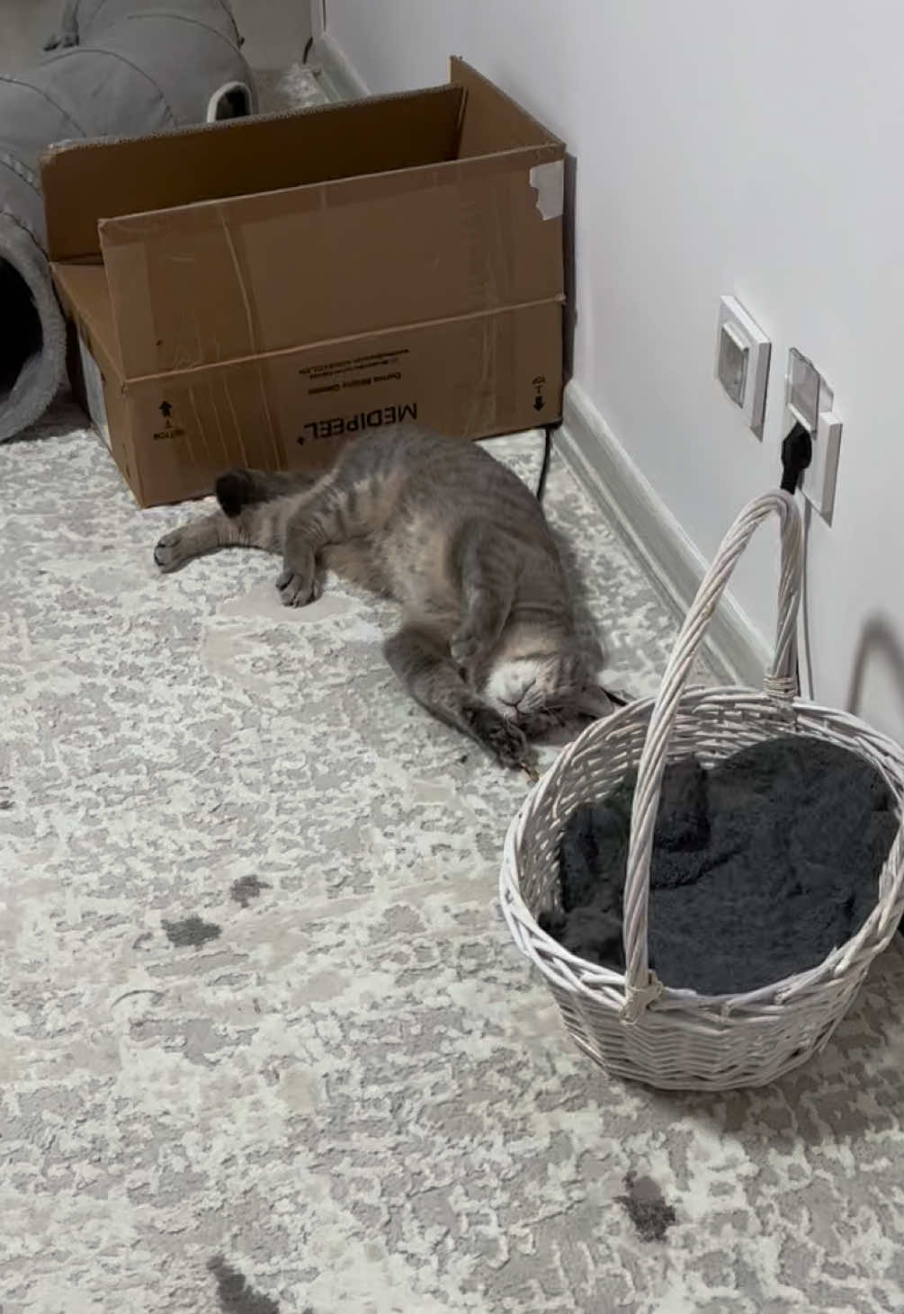 @Культ пушистого равновесия
