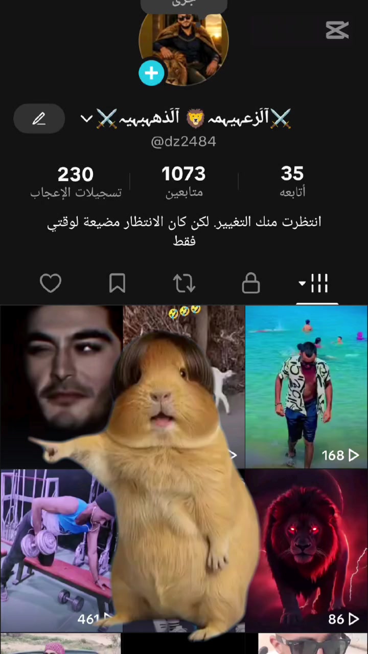 @⚔️آلَزعہيہمہ🦁 آلَذهہبہيہ⚔️