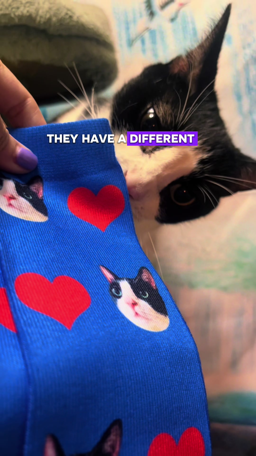 @Concerned_Kitty
