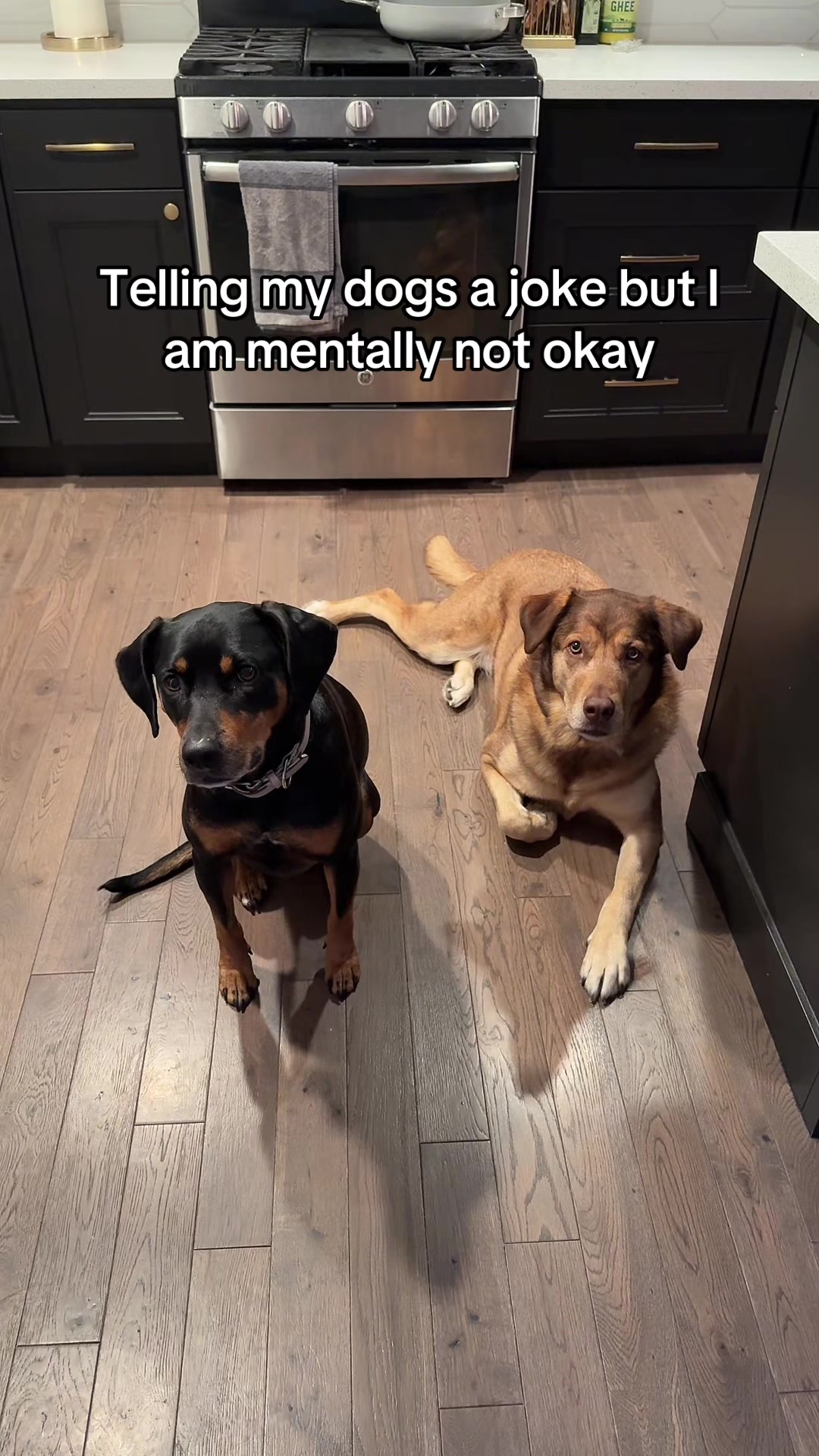 @Bandit.Maez.Rumi.Coco