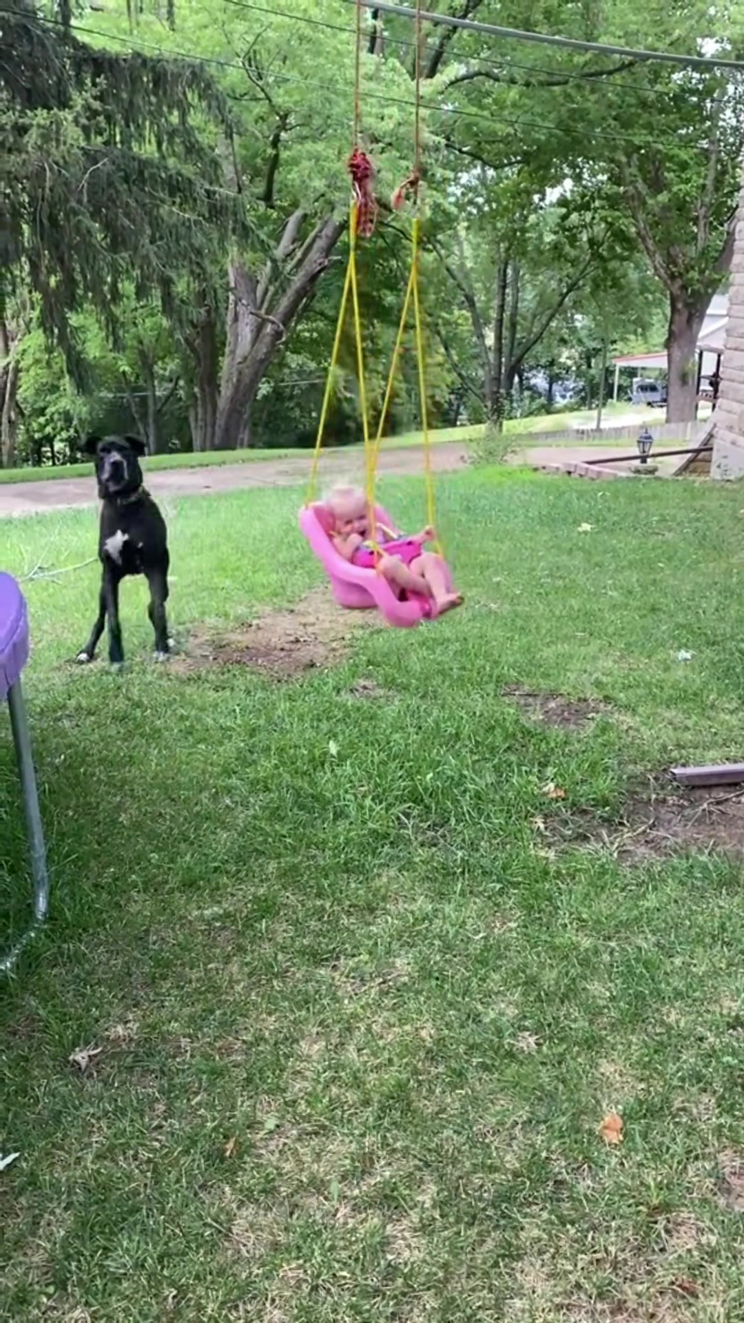 @K9stories