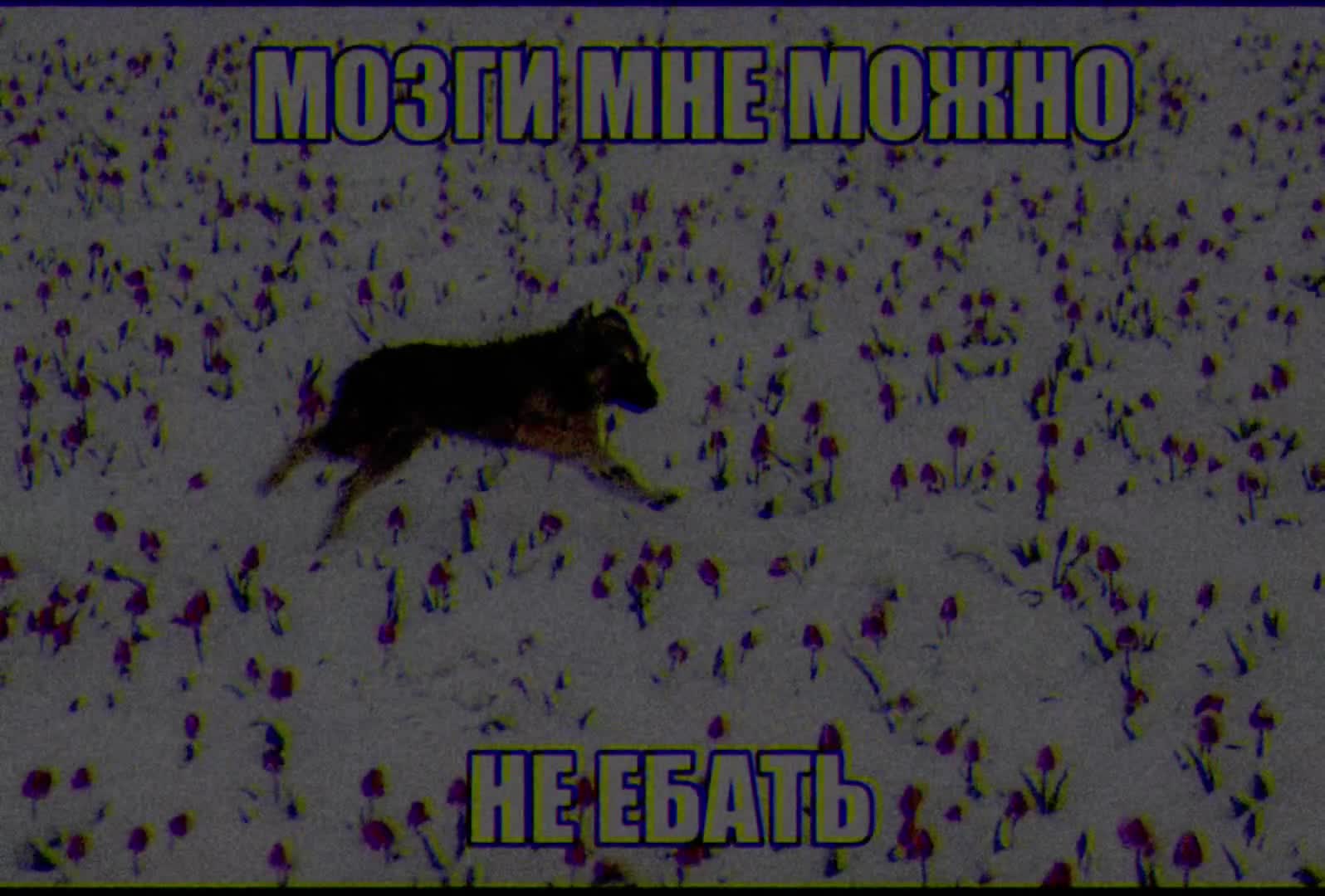 @w8h8