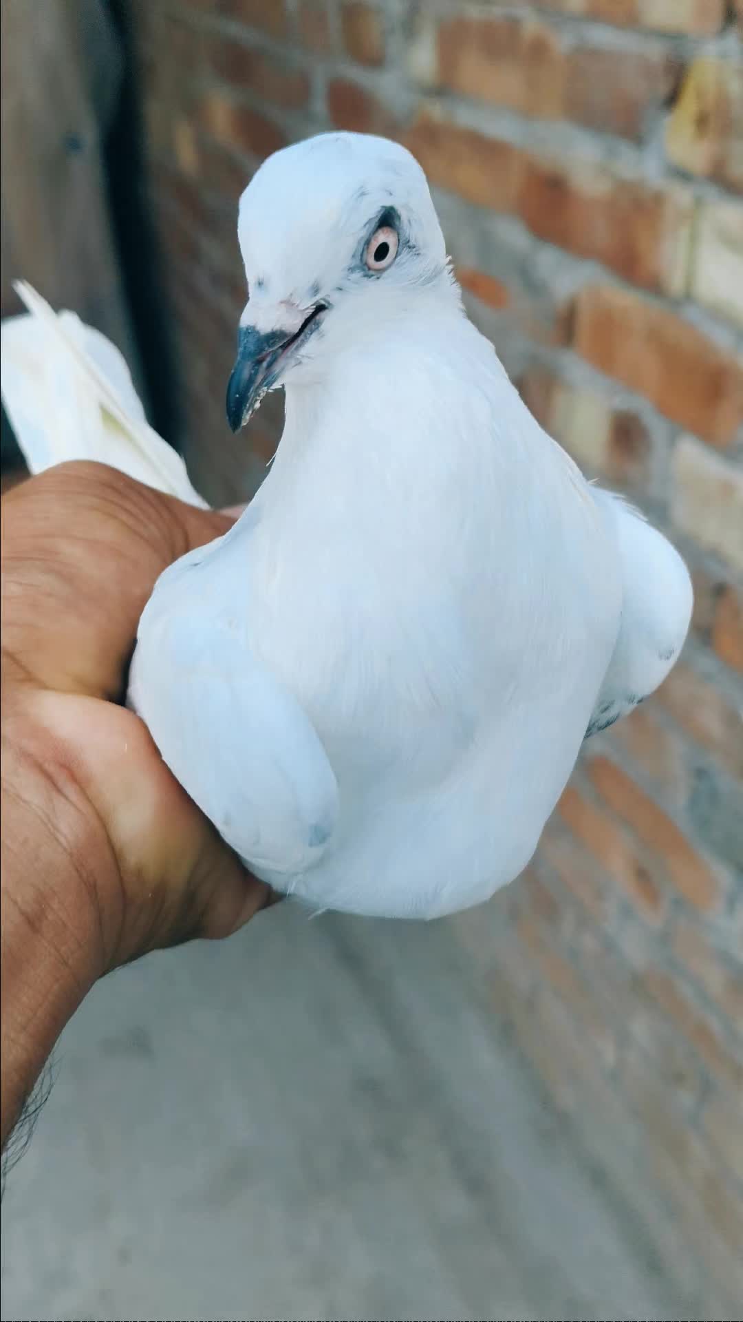 @user362059
