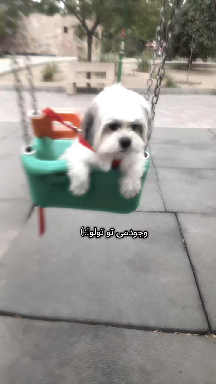 @—͟͟͞͞★𝘳𝘰𝘴𝘩𝘢🤓