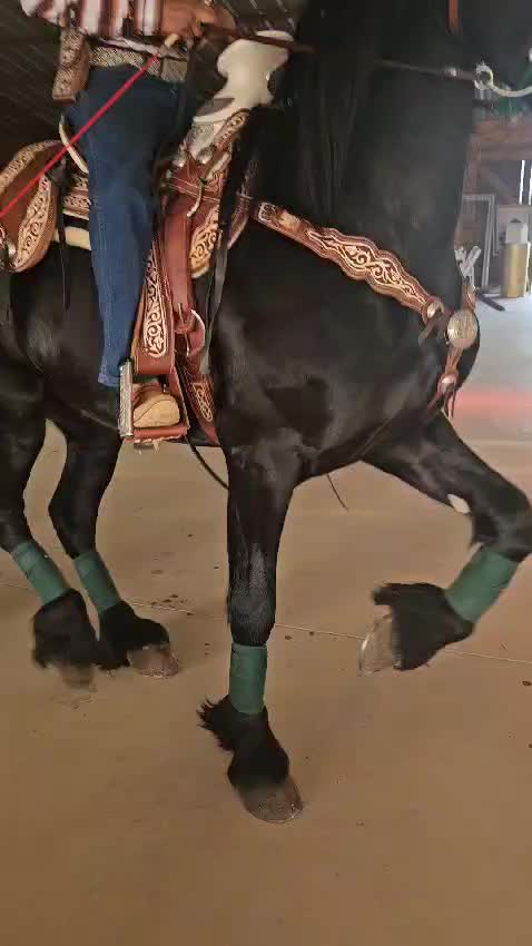 @joserefugiodiaz49