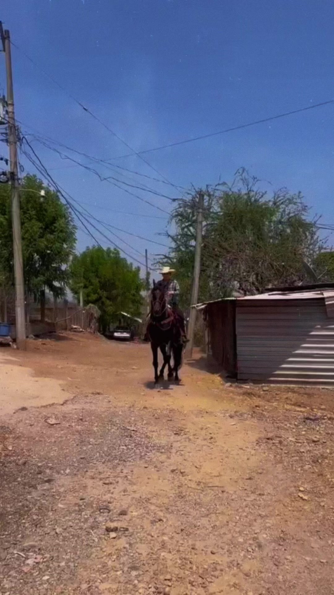 @K.borja🐴