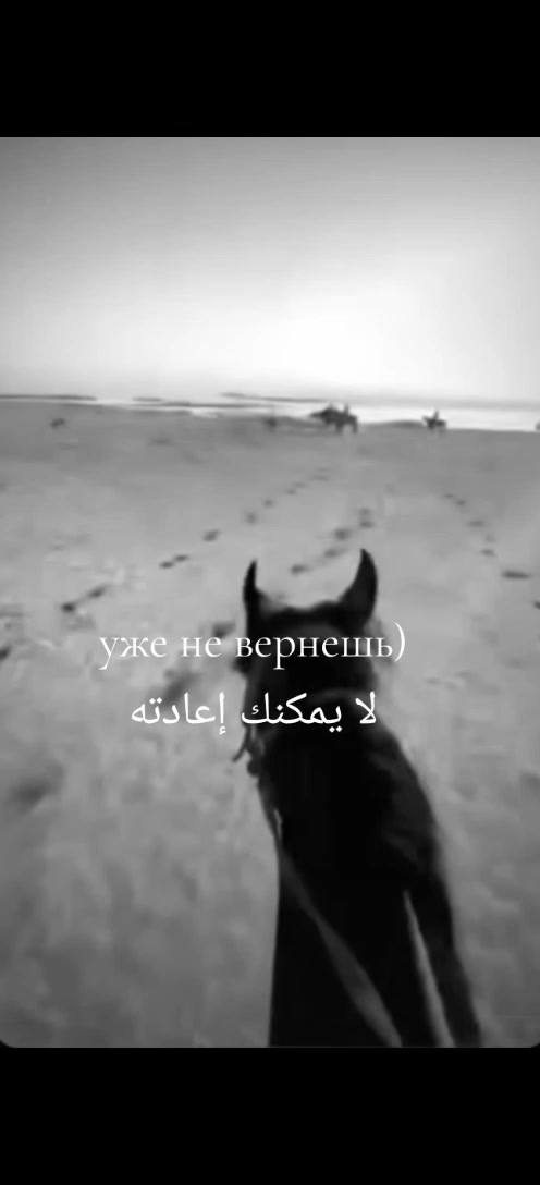@𝑨/𝑲🏹