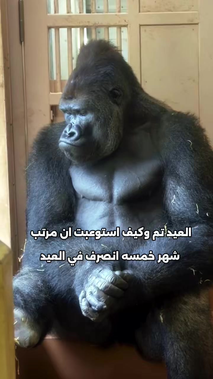 @๐
ฐ๏ธ๐
ป๐
ถ๐
ผ๐
ฐ๏ธ๐๐
ด88