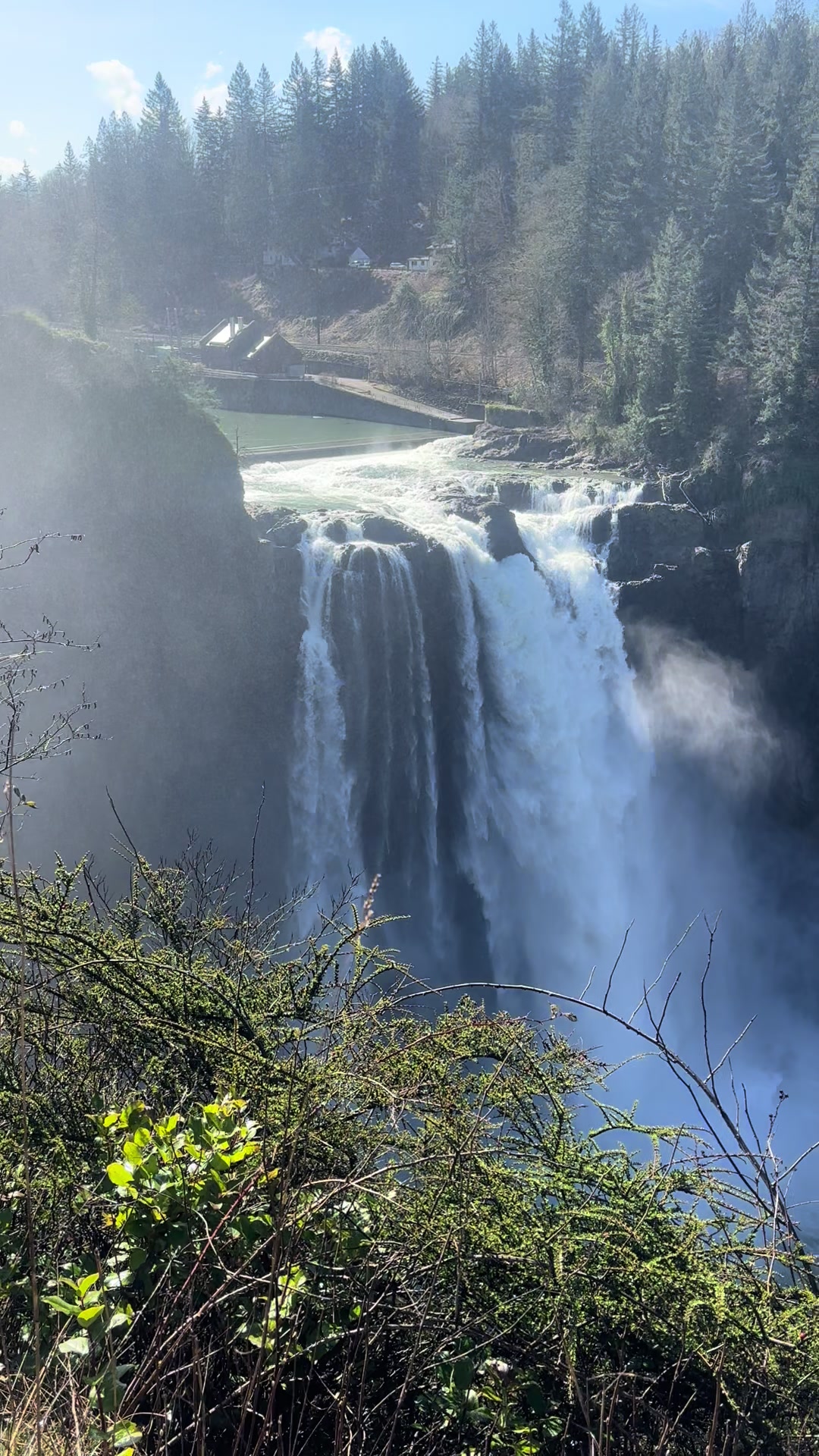@LifeinthePNW