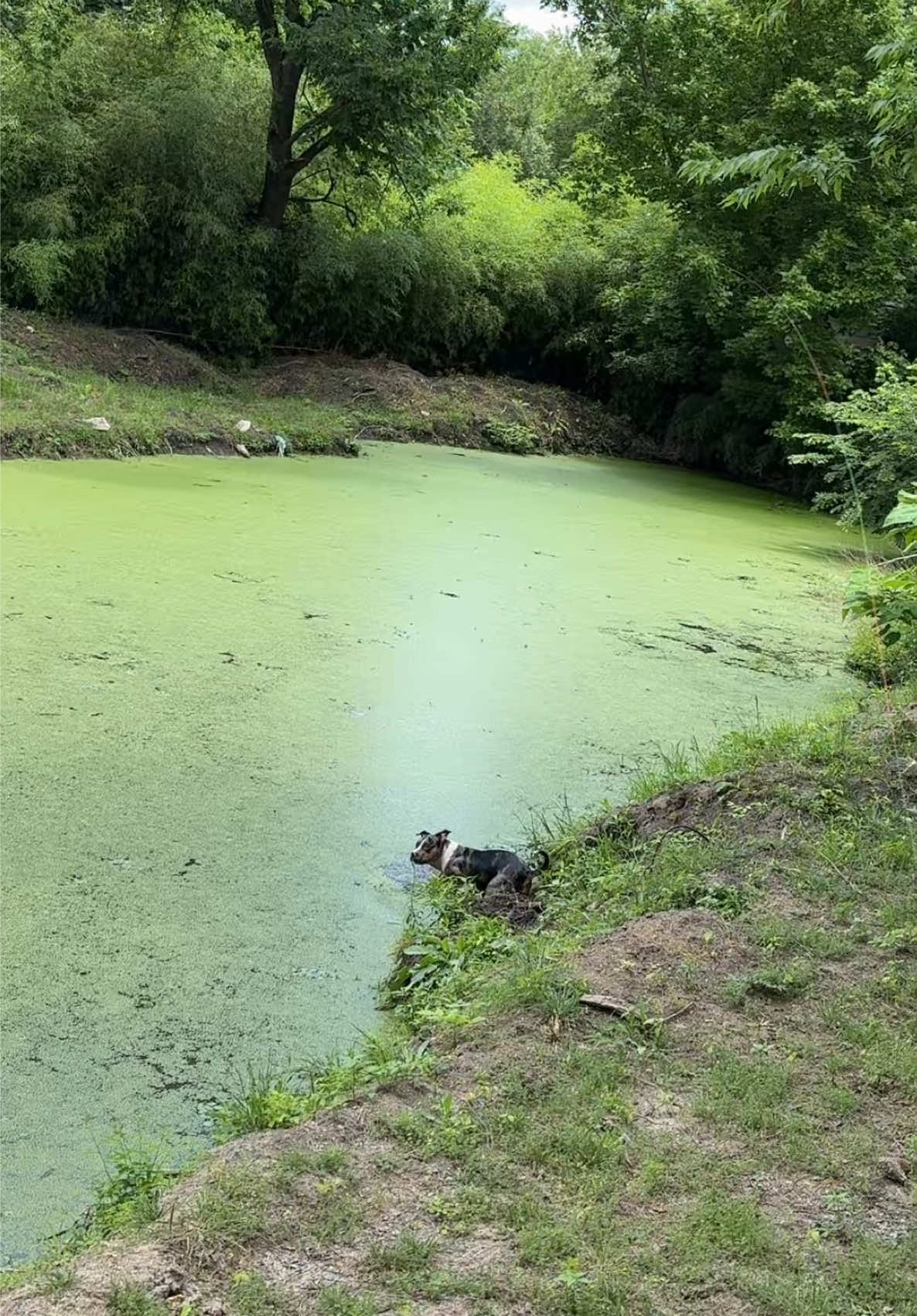 @ethan4fishing