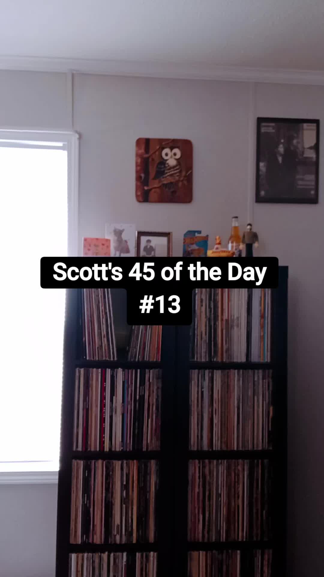 @Scott Reed ❌️