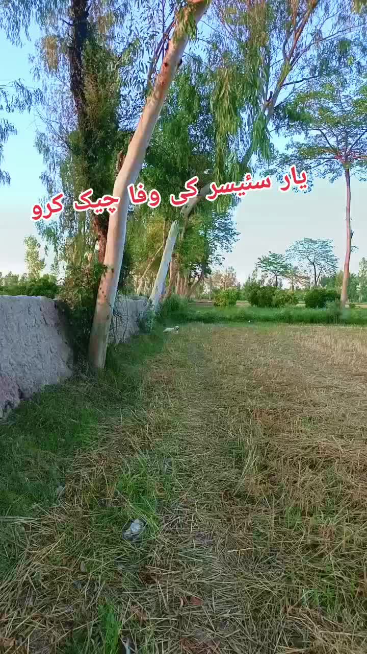 @One man 💜⁷⟬⟭💜❤️&zwj;🩹🖤