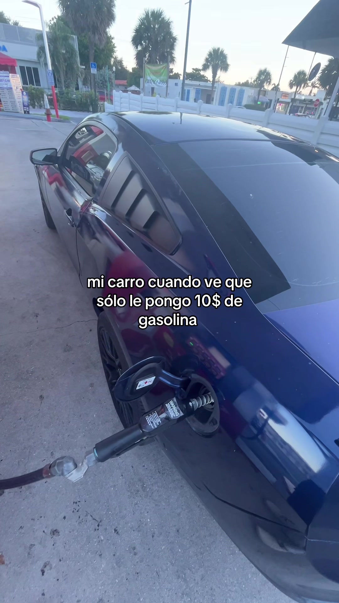 @Mario