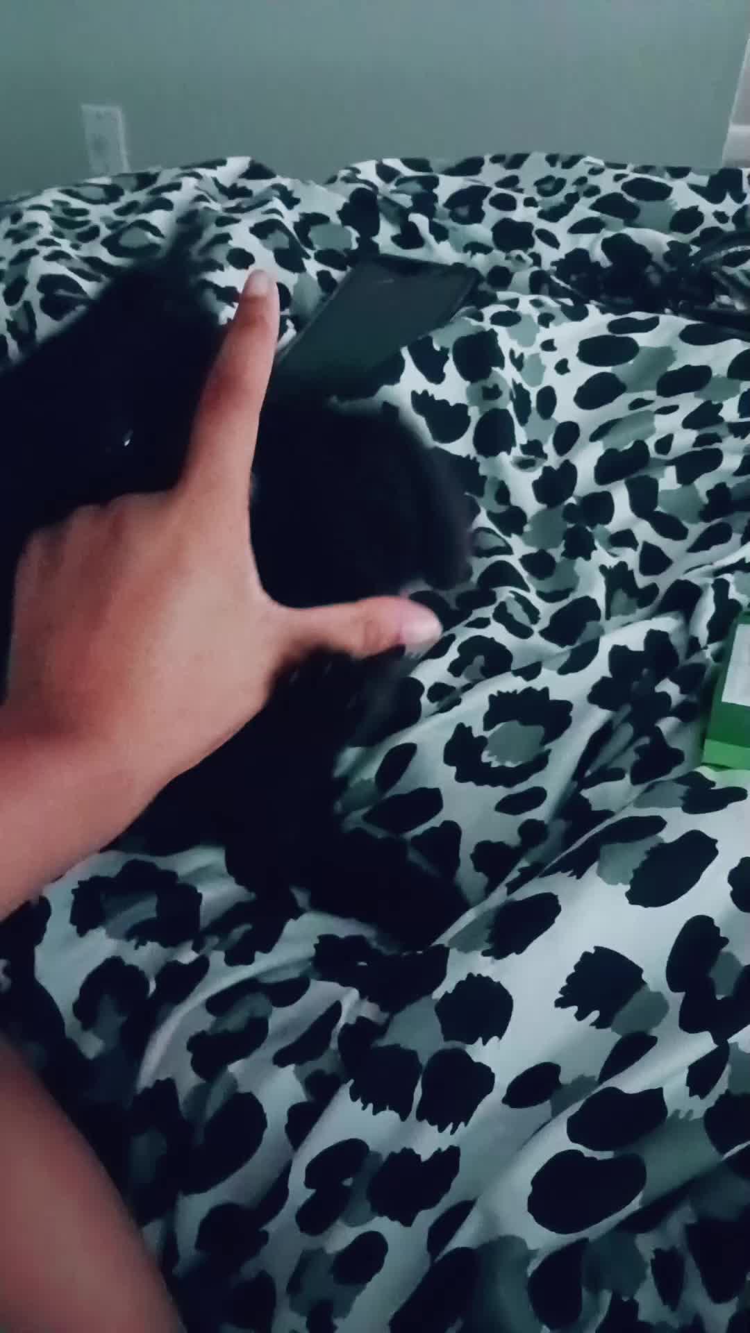 @Ruie.Wildz.Butterflies💖