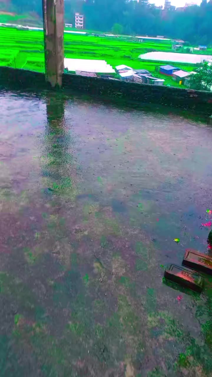 @Sabitri Nepal