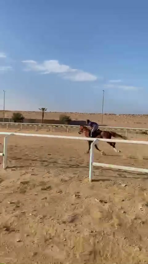 @عبدالله حمد التميمي jockey🏇🏿
