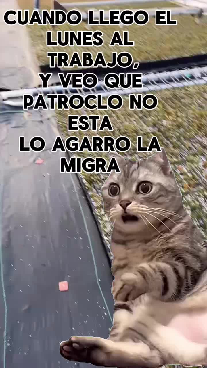 @ℭ𝔯𝔲𝔷✞