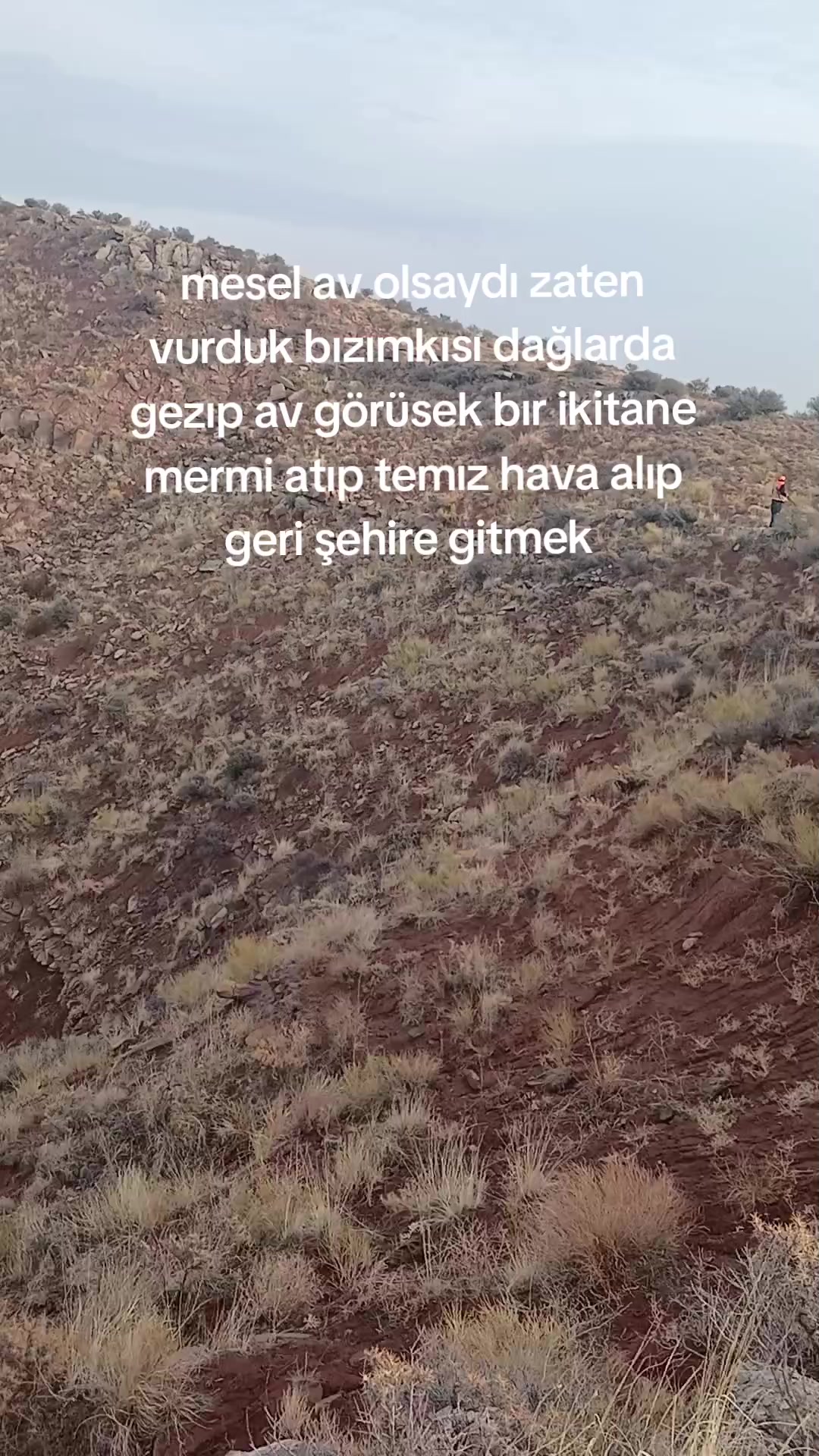 @avci