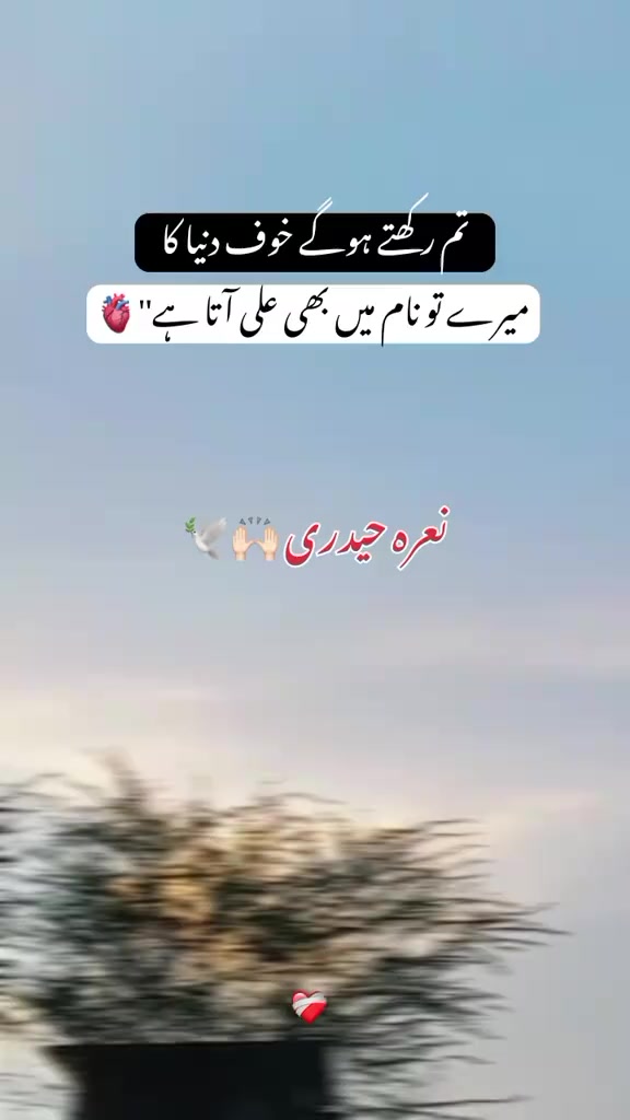 @🥷عـلی حیدر بٹــــــــ" ۔۳۳۳〽️