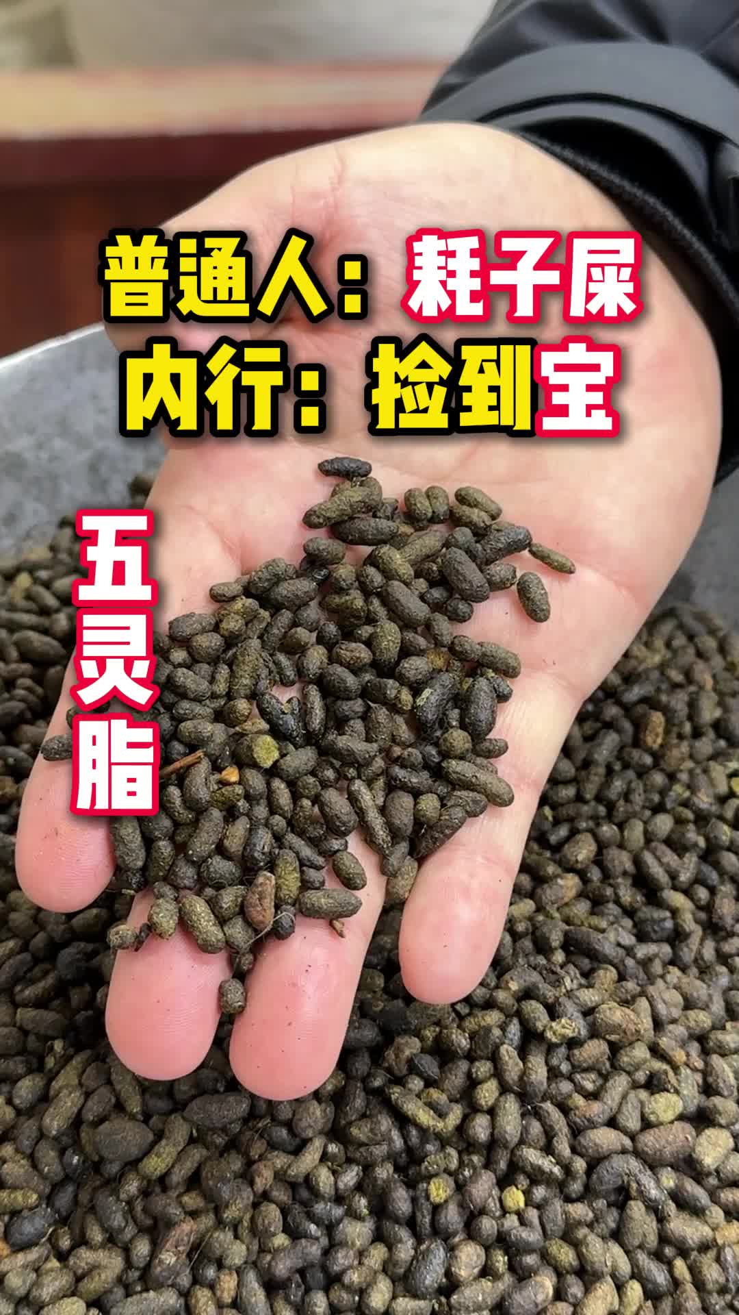 @大头说滋补