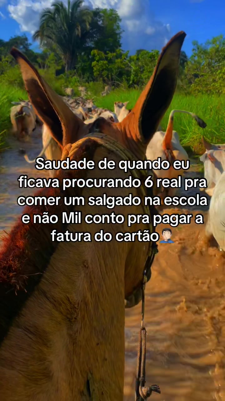 @📿K&Aacute;SSIO.agro𓃗🤠