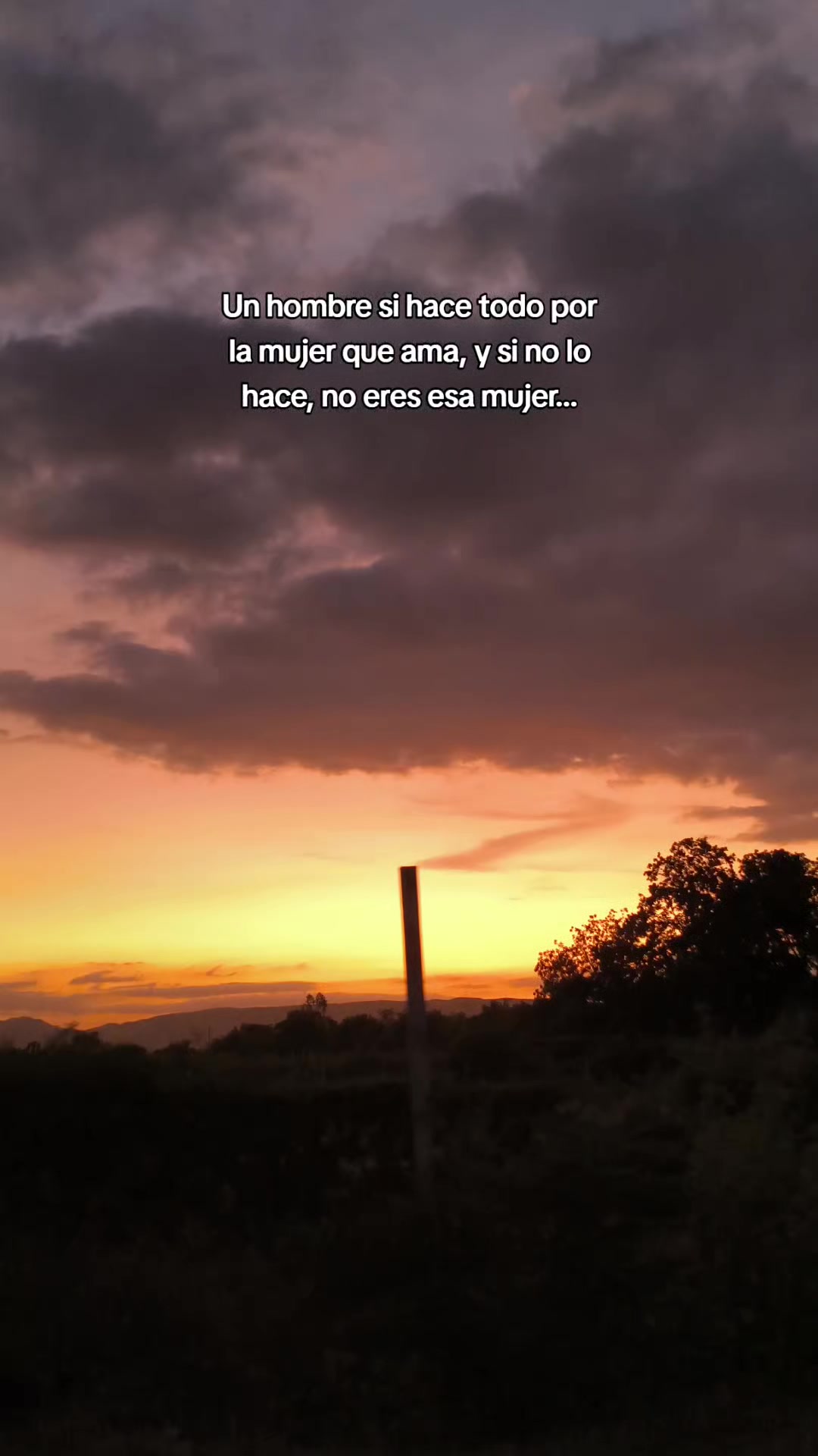 @Maricielo Camasca