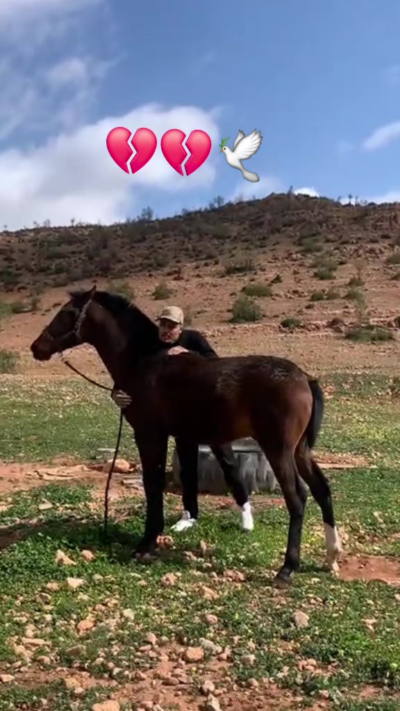 @mhiyaoui.48