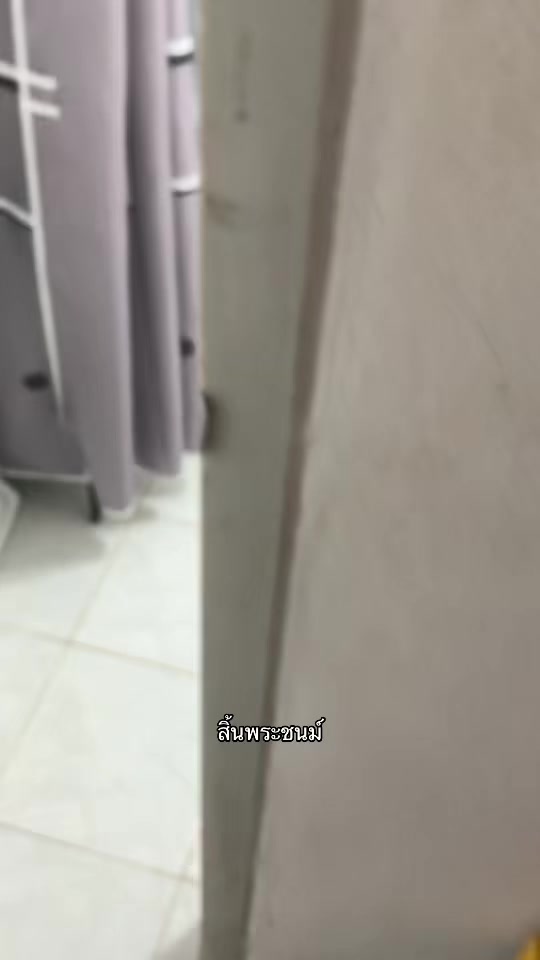 @𐙚₊˚⊹🐝 ʙᴇᴇ 🍯°ᡣ𐭩 . ° .
