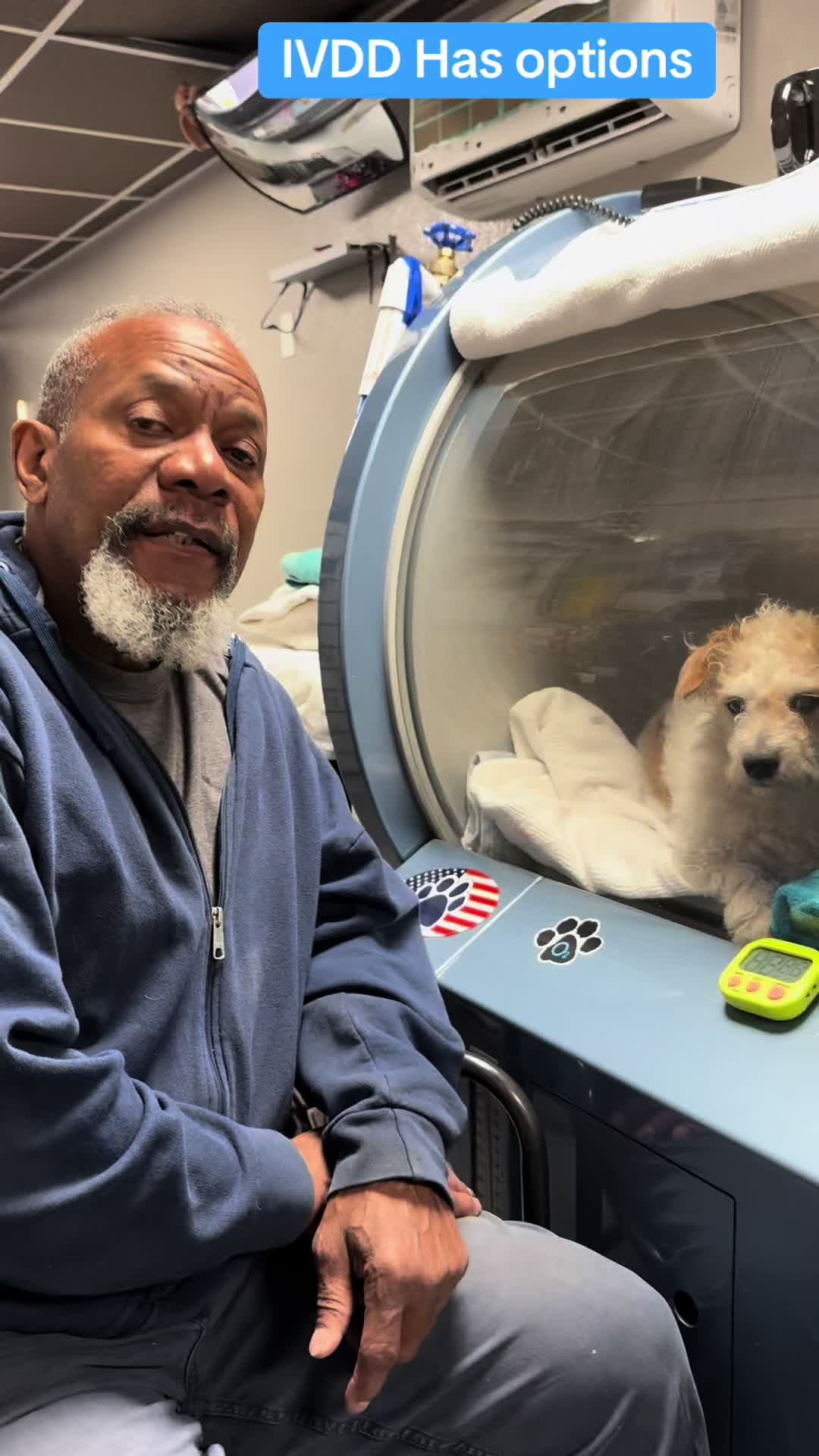 @#animalhyperbarics