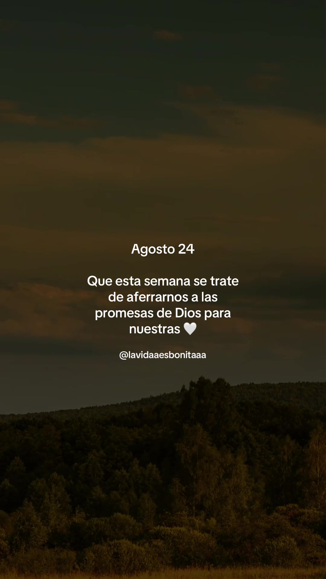 @vidabonita❤️🩹