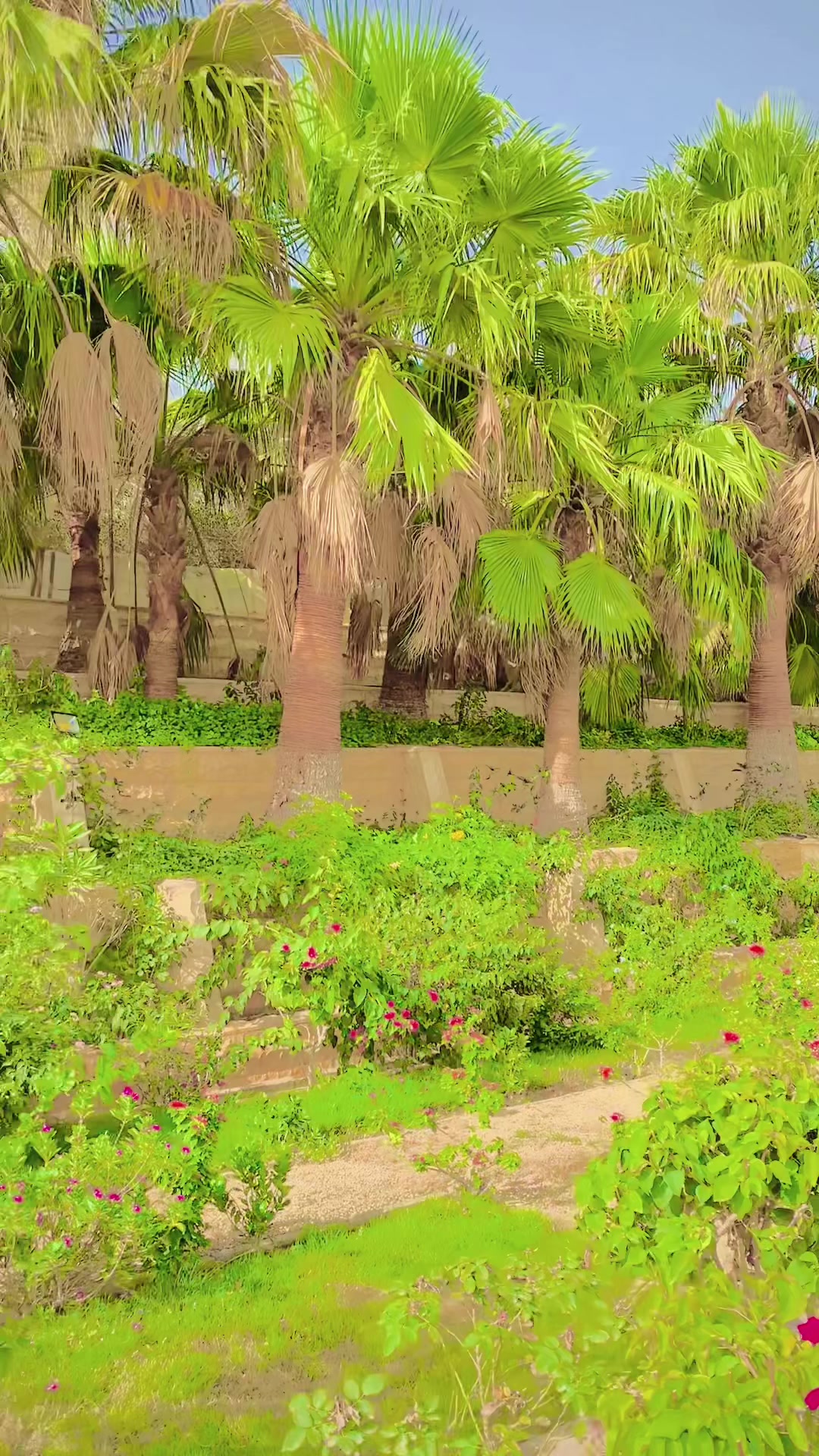 @🔥فرخان نواز 🔥