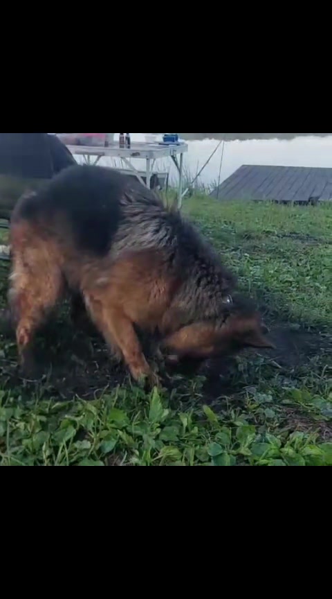 @МАТЬ ДРАКОНІВ🤣