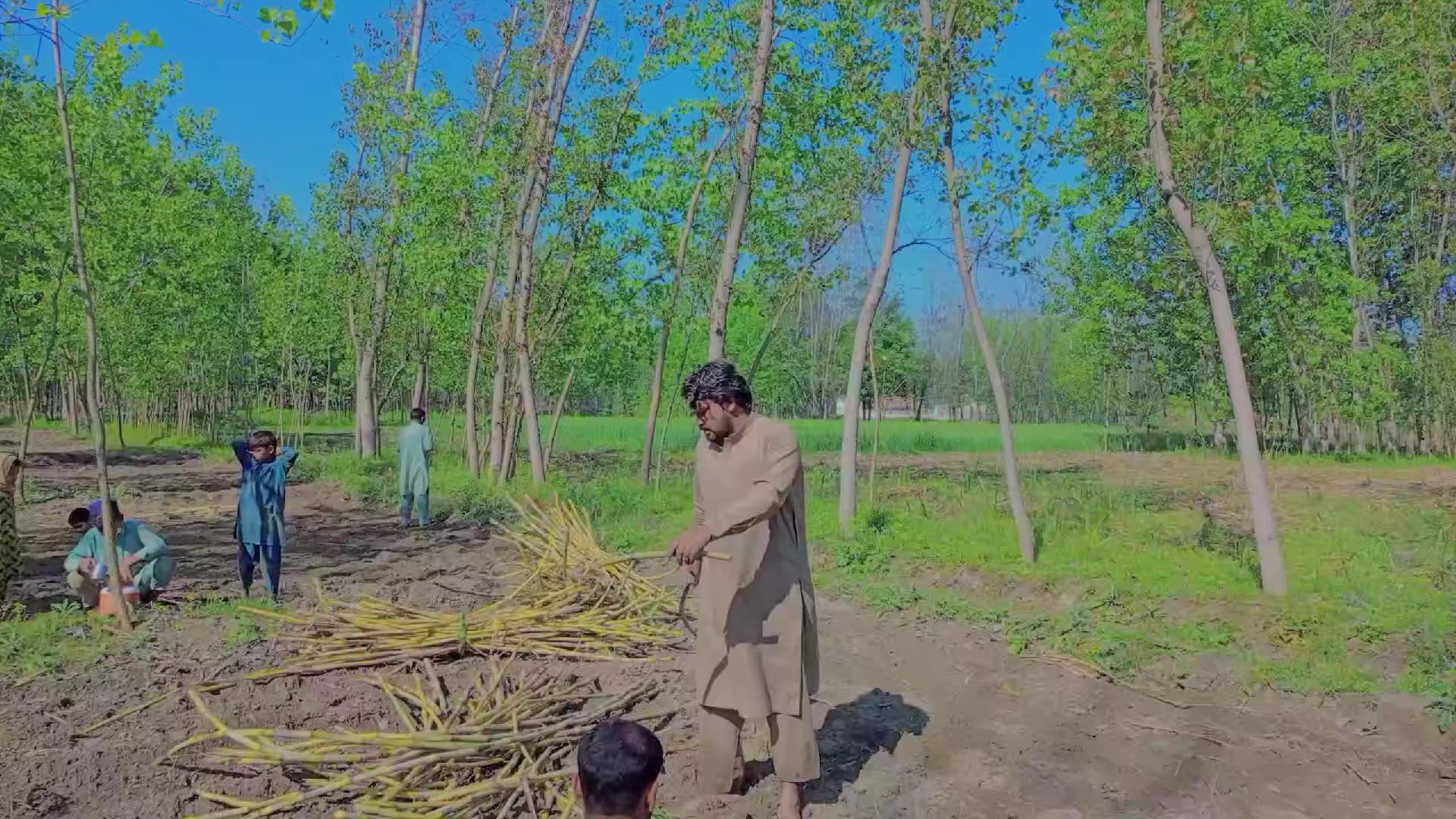 @👑شاہی لڑکا🤴