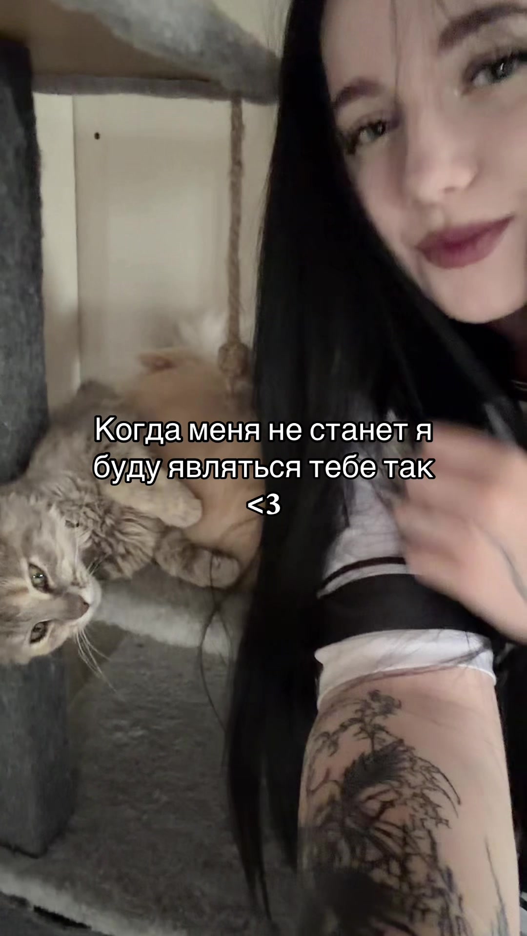 @Tgk:exoia
