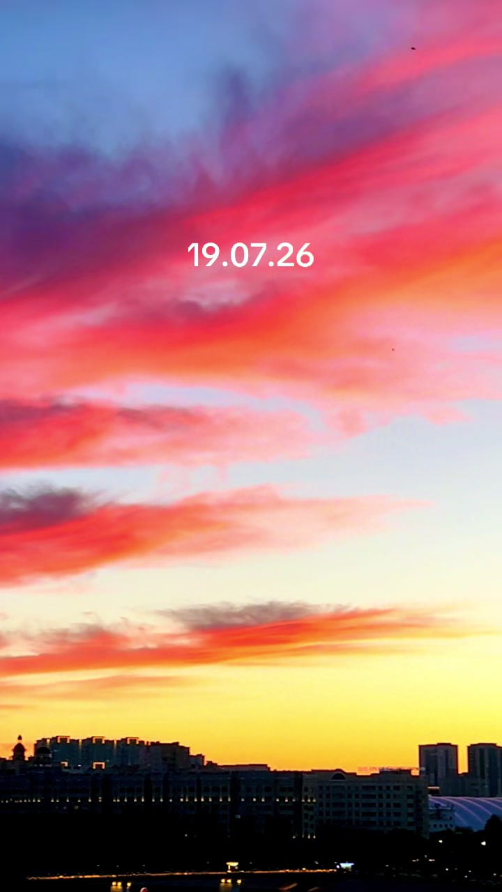 @14151926armv