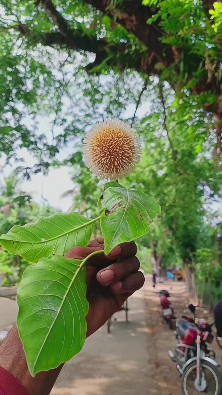 @JSR.RAKIB.YT