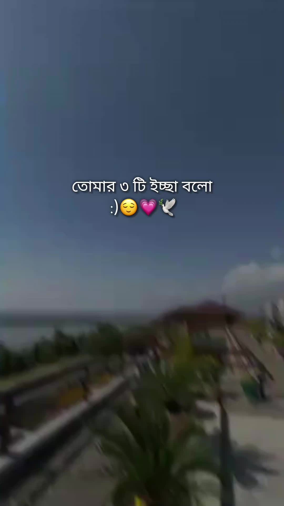 @🌝জাতীর কালি বিলাই🌝