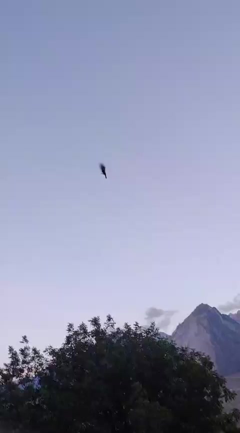@𝑺𝑨𝑫𝑬𝑹...🤟