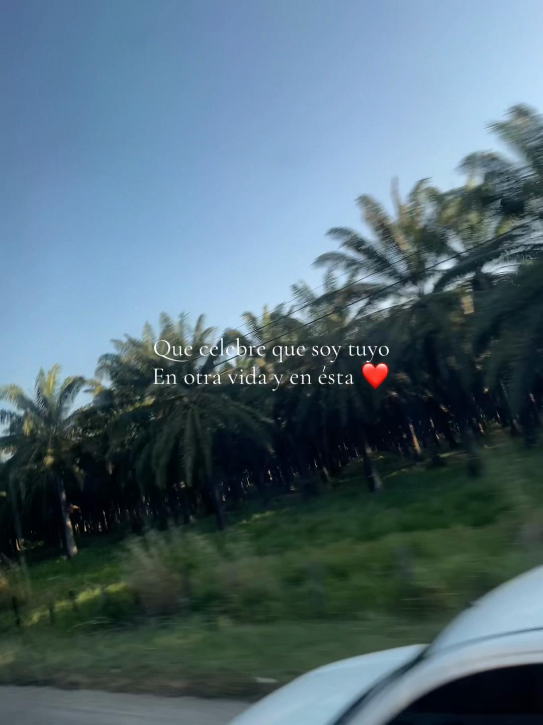 @Yurainis❀🌷