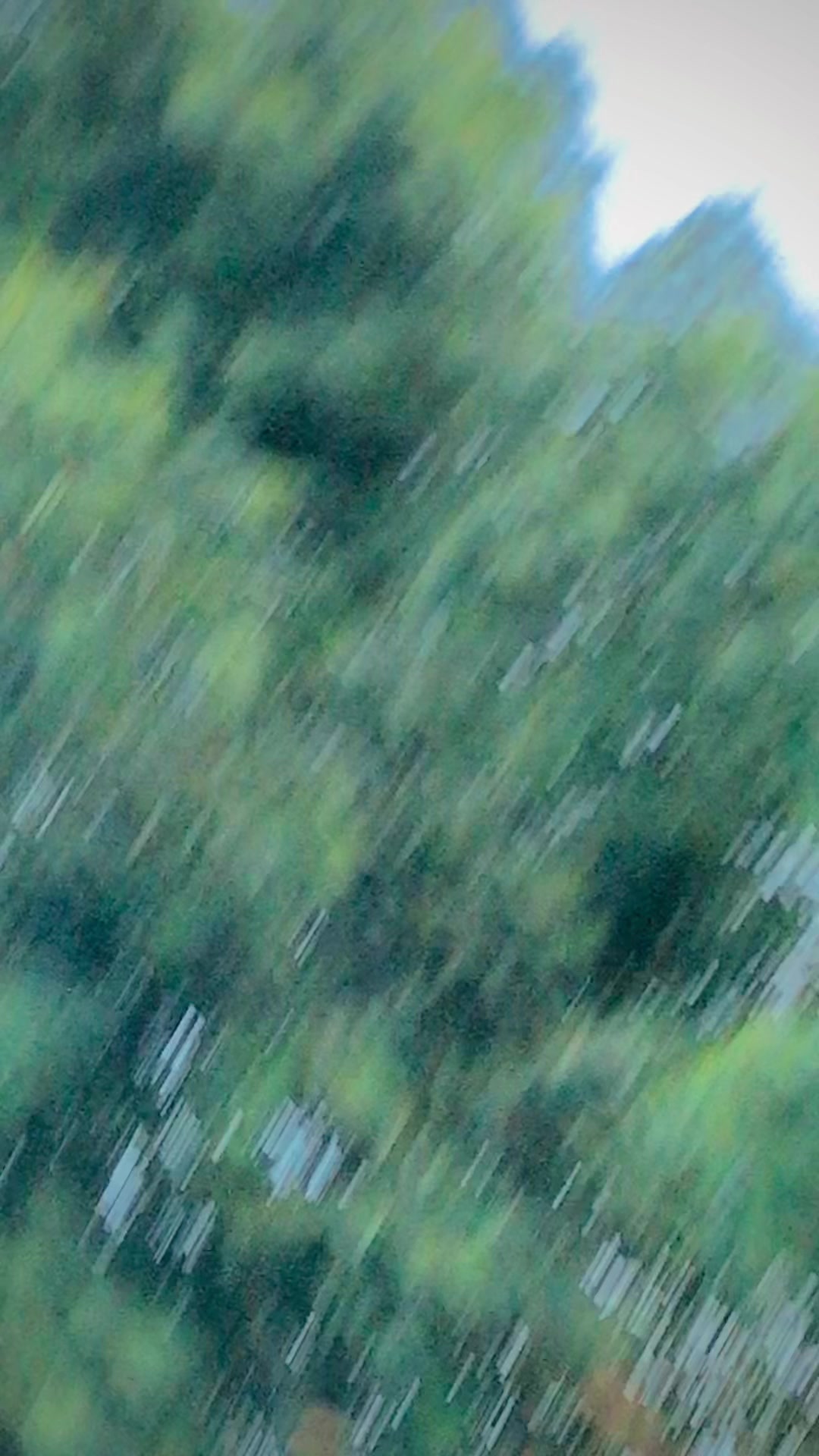 @💙تور عمر جان 💙