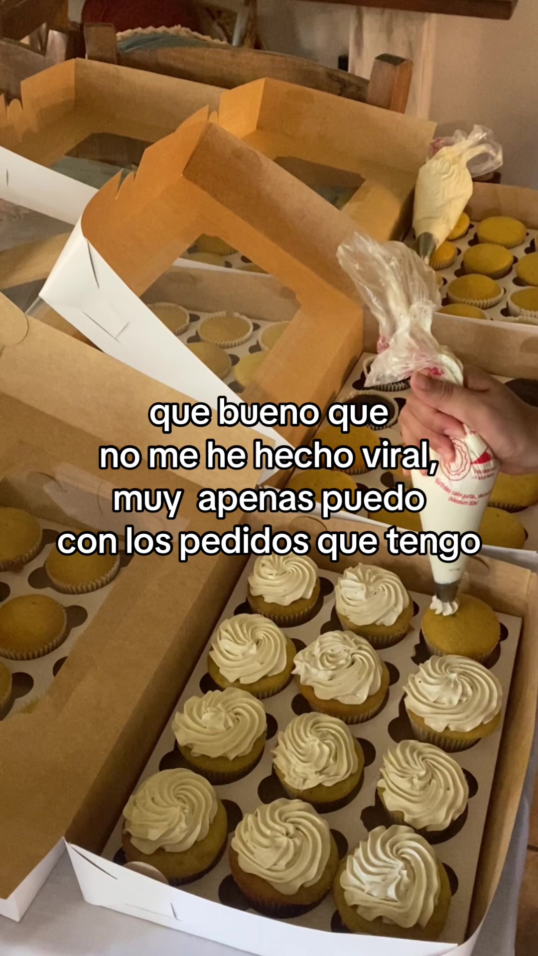 @cexi
