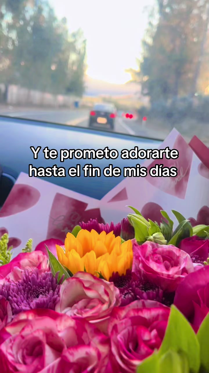 @May Quiroz Tello •Te sigue