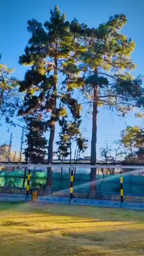 @💸{Murado~Kolwahi&bull;9t9}