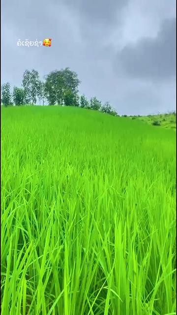 @ອະມໍ😝